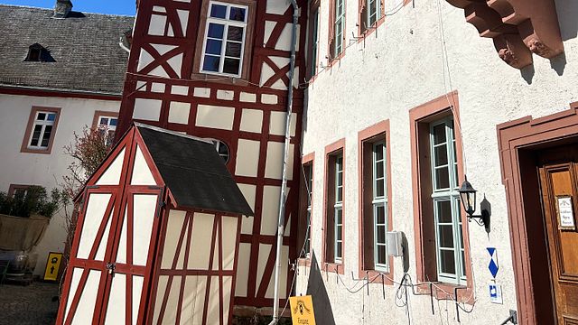 Rüdesheim: City tour with wine and music