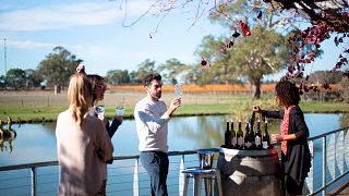Degustazione di vini e tour a Balnaves di Coonawarra