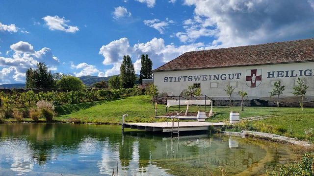 Tour estivo del vino nei boschi di Vienna (aprile-ottobre)
