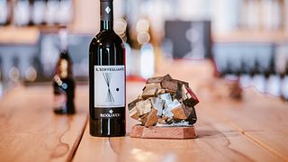 Tuscan Wine & Vineyard Tour at Rigoloccio