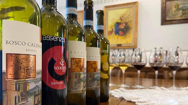 Dégustation de vins haut de gamme et visite à l'Antica Masseria Venditti