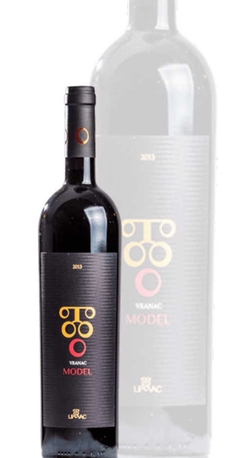 Model