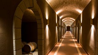 Wine Tasting and Tour at Statti Estate