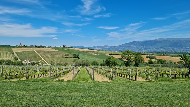 Daniele - Greenways Italy Tours
