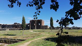 VINI TALHA E VINI VIDIGUEIRA - Entroterra del Basso Alentejo, PORTOGALLO