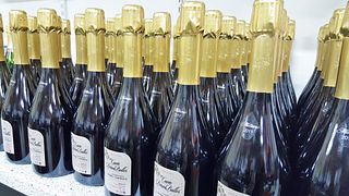 Un momento di qualità alla cantina Carreau