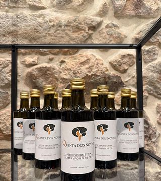 Visite et dégustation de vins au vignoble biologique Quinta dos Novais