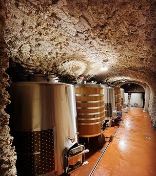 Domaine Mayard
