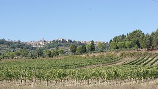Verkostung der großen Rotweine von Montalcino