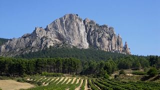 Wine Tasting Experience at Bodegas Señorío de Líbano