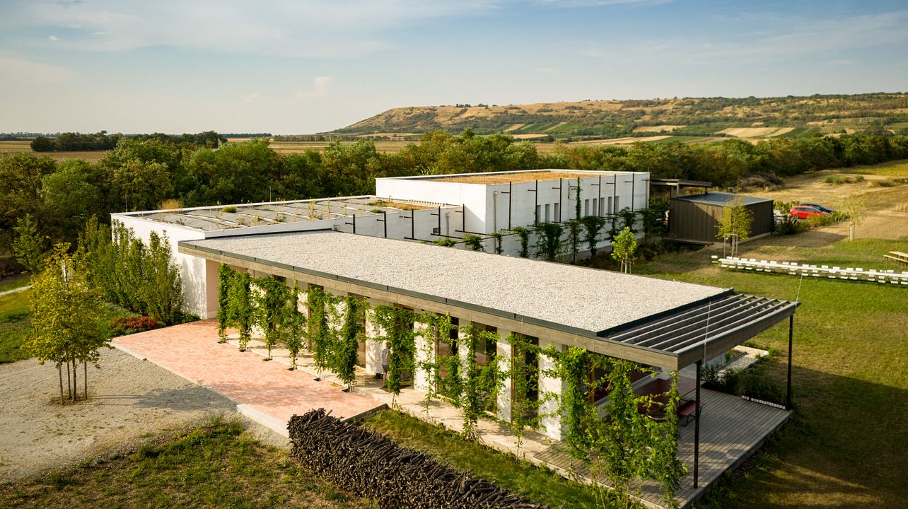 Weingut Dorli Muhr