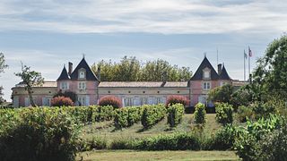 Picnic nel vigneto dello Château Loudenne