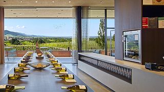 Cata de vinos en Weingut Kopp