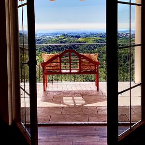 Exclusive use luxury villa-Peterc Vineyard Estate