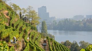 Weingut Schwaab