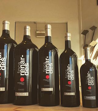 Visita e degustazione di vini al Celler Parató