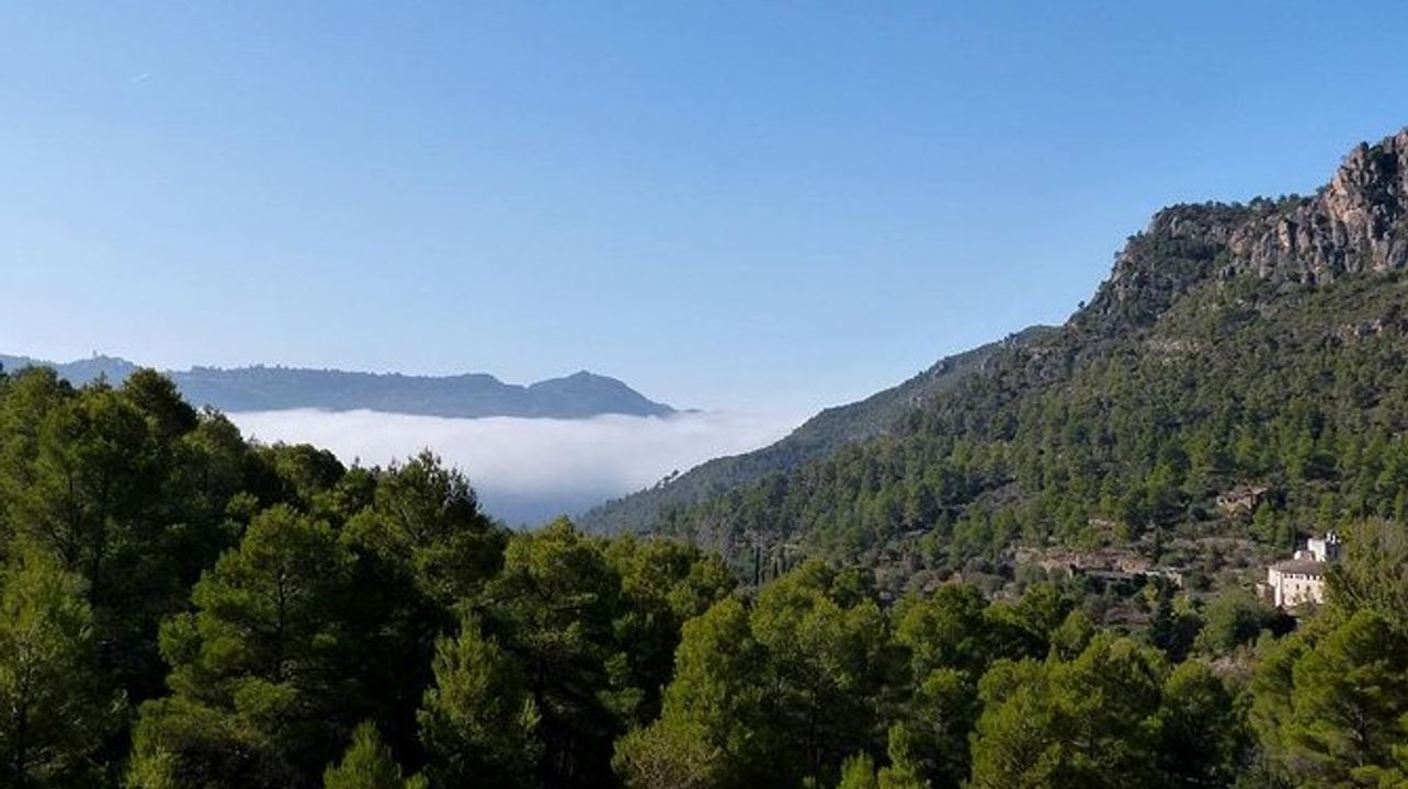 Recorrido privado por 3 bodegas del Penedés desde Barcelona