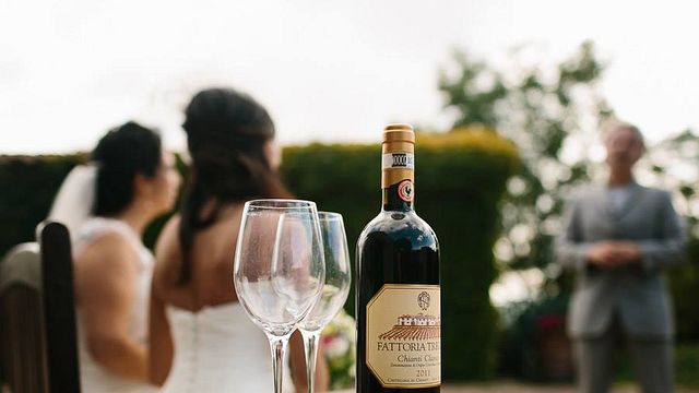 Cata de vinos y visita guiada en Wine Barnovi 