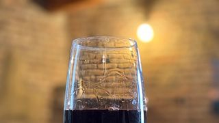 Dégustation de vins authentiques dans un domaine familial