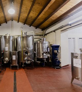 Besuch des Weinguts mit Verkostung, um die Arbeit eines kleinen Produzenten Vigna nica kennenzulernen