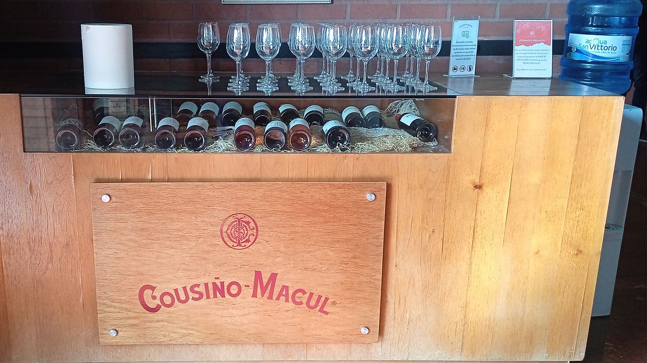 Cousiño Macul Vineyard- Maipo Valley- En unik upplevelse.