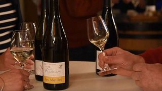 Introdução à degustação de vinhos