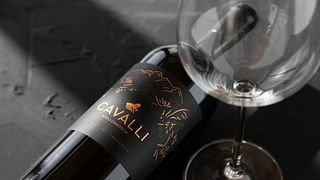 Unique Underground Tasting Experience at Cavalli Estate