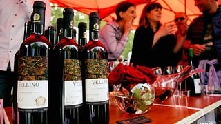 Dégustation de vins et visite à Vellino