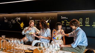 Degustazione di vino Prosecco + antipasti + tour in cantina e nei vigneti a Valdobbiadene 