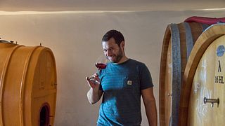 GRUNDLAGEN DER WEINPROBE