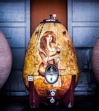 Zorzal Wines