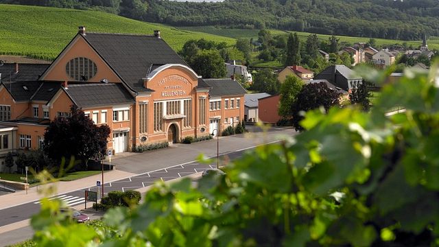 Degustazione di vini alle Caves de Wellenstein