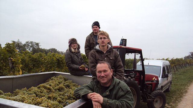 Visita e degustazione di vini presso Weingut Roman Schödl