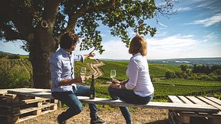 Dégustation de vins et visite du Weingut Trenz