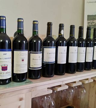Languedoc-Roussillon Wine & Vineyard Discovery at Domaine l'Aiguelière