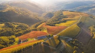 Degustazione di vini con vista sul mare e sulle Alpi presso la tenuta Brič