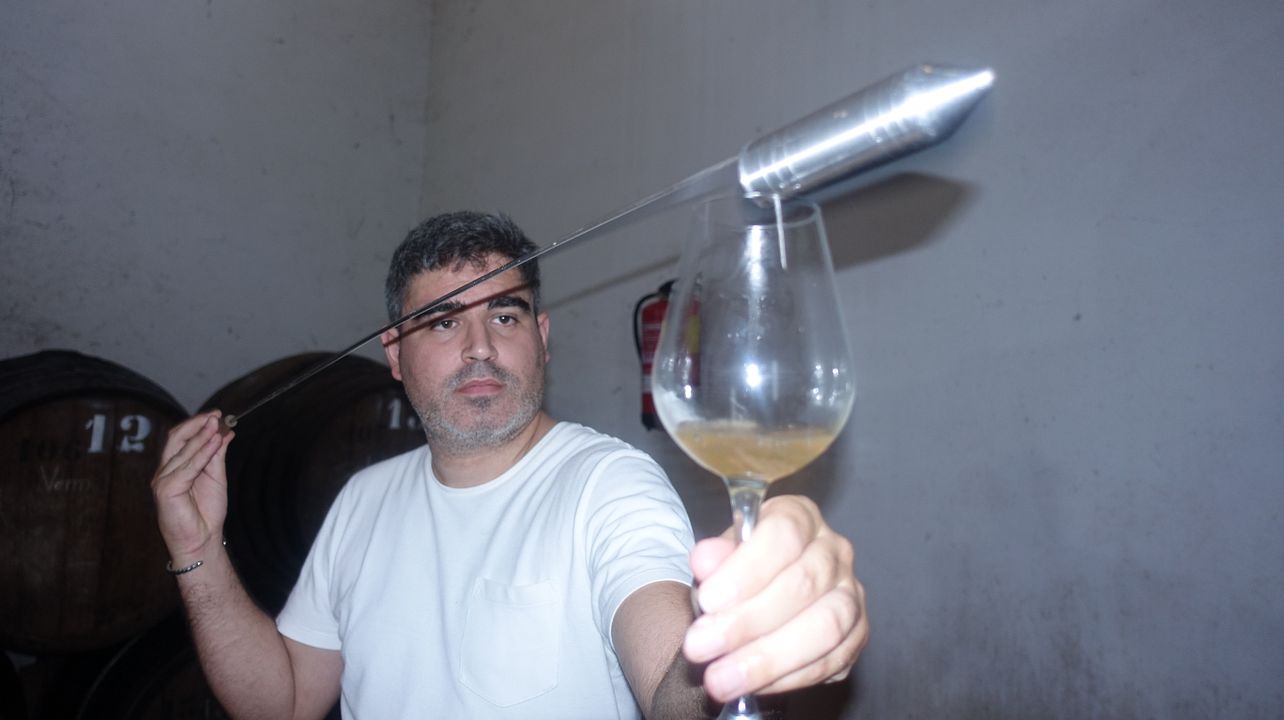  Uma ótima tarde nos Montes de Málaga, 2 vinícolas, 12 vinhos, almoço