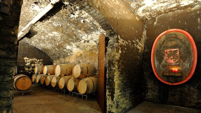 Visita e degustazione di vini presso Winzer von Erbach eG