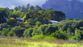 Dégustation de vins et visite du domaine biologique d'Upland