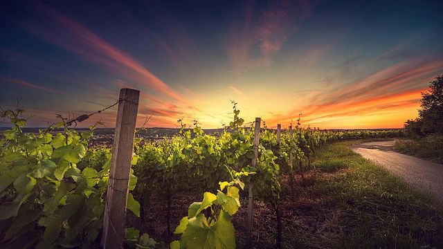 Istria Safari - Descubra a paixão da Ístria