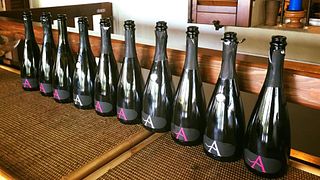 Dégustation de vins et visite à Ancilla - Azienda Agricola La Ghidina