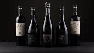 Führung und Verkostung „The Selection“ im Weingut Bersano