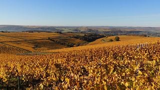 Domaine Laurent Et Céline Notton