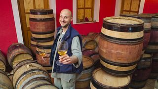 Dégustation de vins et visite à Gordia