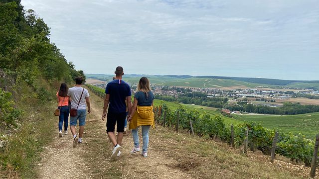 Visita à vinha e degustação de vinhos no Domaine Céline et Frédéric Gueguen