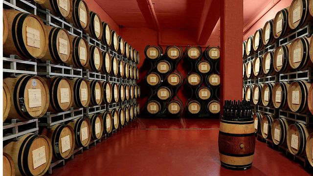 Wine tasting and tour at Tenute San Fabiano - Conti Borghini Baldovinetti De' Bacci