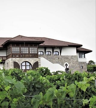 Cata de vinos y visita a los viñedos de Davino