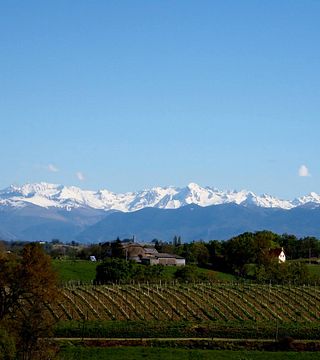 Degustazione di vini e visita al Domaine Larroudé