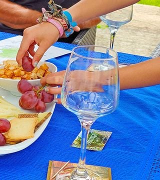 Tour esclusivo del vino verde nella valle del Douro