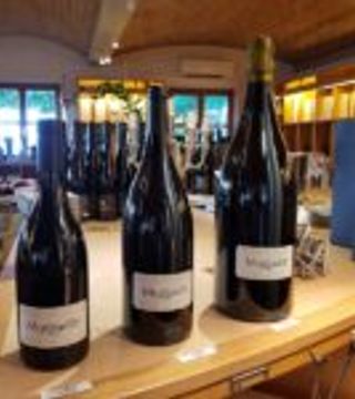 Britzingen Degustazione di vini tipici della regione